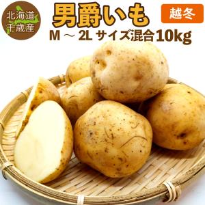 インカのめざめ 越冬 2kg（混合S〜2L）北海道 千歳産 じゃがいも