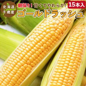 とうもろこし ゴールドラッシュ M〜2L混合 15本入り 北海道 千歳産 黄色いトウモロコシ 送料無料 ご予約販売 2023年8月中旬〜順次発送｜chispo