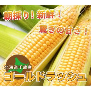 とうもろこし ゴールドラッシュ M〜2L混合 ...の詳細画像1