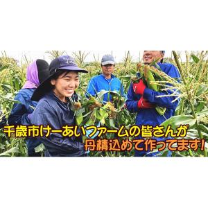 とうもろこし ゴールドラッシュ M〜2L混合 ...の詳細画像4