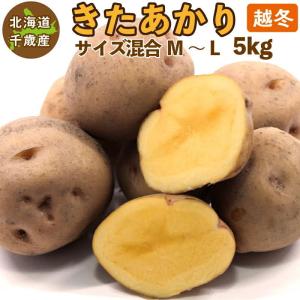 北海道産 きたあかり 新じゃが Ｍ〜Ｌサイズ混合 5kg