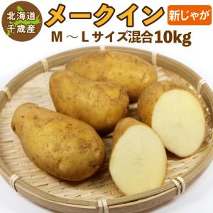 北海道産 メークイン 越冬 Ｍ〜２Ｌサイズ混合 10kg   熟成 じゃがいも ジャガイモ 送料無料 訳あり｜chispo