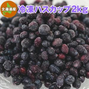 予約】北海道の果実 令和8年収穫ハスカップ（冷凍）5kg : フルーツ