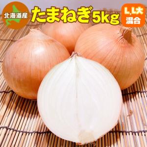 北海道産 たまねぎ 5kg Ｌ〜Ｌ大サイズ 送料無料 タマネギ 玉ねぎ 玉葱 玉ネギ