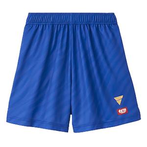 ヴィクタス VICTAS ゲームパンツ V-G...の詳細画像1