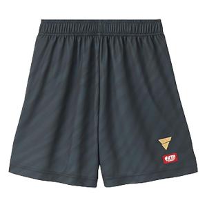 ヴィクタス VICTAS ゲームパンツ V-G...の詳細画像2