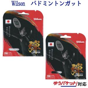 YONEX（ヨネックス） 【バドミントン ガット】【ヨネックス】 ナノジー