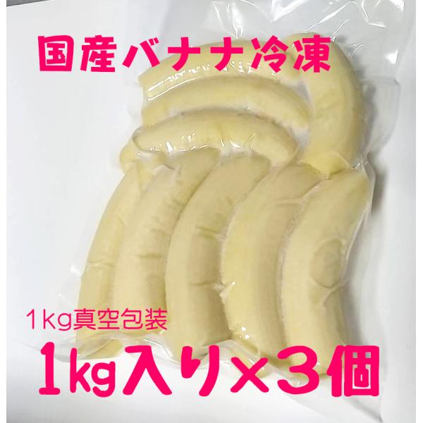 冷凍国産バナナ　真空包装1kg×3個セット