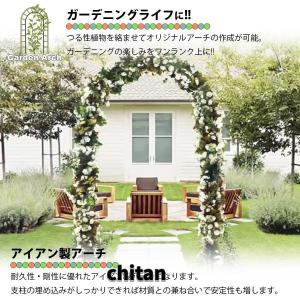 ガーデンアーチ アーチ アイアン ゲート バラ...の詳細画像3