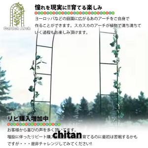 ガーデンアーチ アーチ アイアン ゲート バラ...の詳細画像4