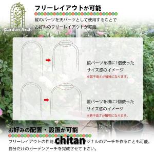 ガーデンアーチ アーチ アイアン ゲート バラ...の詳細画像5