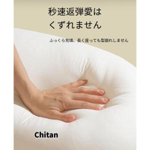 Cカーブ クッション たまごクッション 吐き戻...の詳細画像5