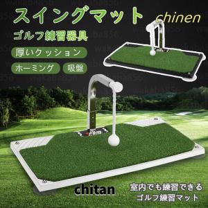 WINNER SPIRIT ウィナースピリット リアルスイング300 ゴルフスイング