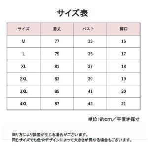 水着 レディース 女性用 大きいサイズあり ス...の詳細画像5