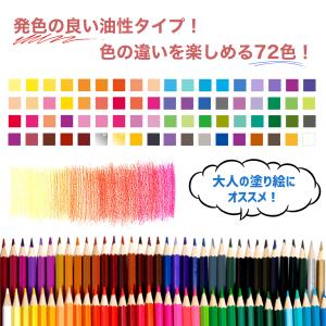 色鉛筆 72色 油性 塗り絵 ぬりえ 子供 プ...の詳細画像2