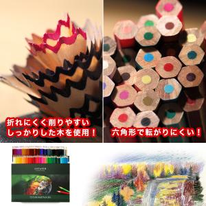 色鉛筆 72色 油性 塗り絵 ぬりえ 子供 プ...の詳細画像3