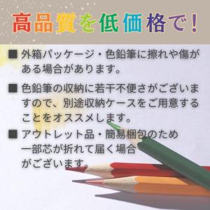 色鉛筆 72色 油性 塗り絵 ぬりえ 子供 プ...の詳細画像5