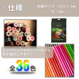 色鉛筆 36色 油性 塗り絵 ぬりえ 子供 プ...の詳細画像1