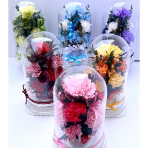 Mothers Day 母の日 カーネーション...の詳細画像2