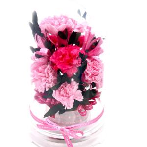 Mothers Day 母の日 カーネーション...の詳細画像4