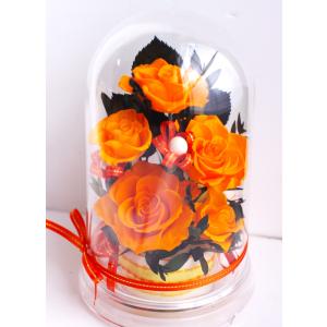 Mother's Day 母の日 誕生日 橙 orange オレンジの薔薇ドームケース入りアレンジ ケース入りギフト