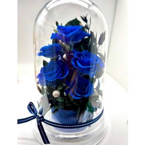 告白 プロポーズ 誕生日 独立 プリザーブドフラワー サムシングブルー 奇跡 夢叶う青い薔薇 Royalblueドームアレンジ｜chloris-flowergift