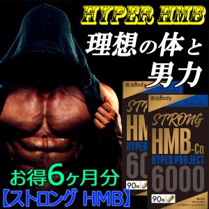 ストロングHMB (2個セットお得6ヶ月分)クレアチン HMB プロテインサプリ気力活力 男性BCAA カルニチン 亜鉛 アルギニン パワーアップ シトルリン 日本