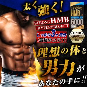 HMB サプリメント(6ヶ月分2個セット) 太く強く 女性が求める最強のボディーサプリメント ストロングHMB  気力 活力 男力 男子 バルクアップ ダイエット｜cho-kirei