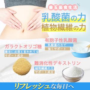 香るエチケット【お得3ヶ月分】におい 口臭 体...の詳細画像4