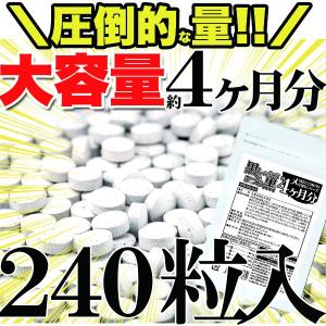 お得2袋セット【メガ盛り 大容量お得8ヵ月分】...の詳細画像2