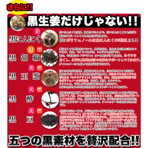 お得2袋セット【メガ盛り 大容量お得8ヵ月分】...の詳細画像4