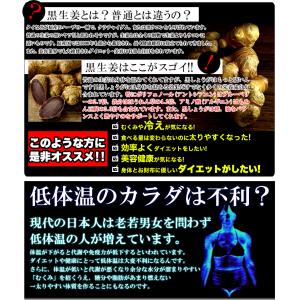 お得2袋セット【メガ盛り 大容量お得8ヵ月分】...の詳細画像5