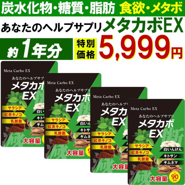 メタカボEX【激安!１年分 ４個セット】炭水化物 糖質 脂質 カット サプリメント ダイエット カロ...