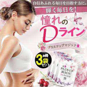 バスト 女子力 魅力 アップ サプリメント【プラスアップマジック