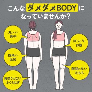 パワースリムアクティブインソール(4サイズ) ...の詳細画像1