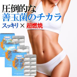 お得3ヶ月分】NEW速戦即決ナイト 寝る前 専用 ダイエットサプリ 休眠 
