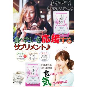 とりあえずコレ!お得3袋 カロリーカット ダイ...の詳細画像1