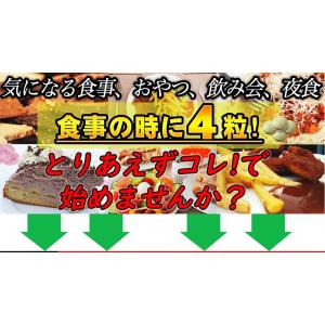 とりあえずコレ!お得3袋 カロリーカット ダイ...の詳細画像2