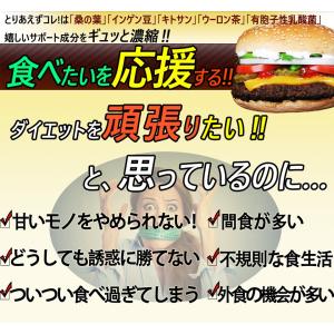 とりあえずコレ!お得3袋 カロリーカット ダイ...の詳細画像3