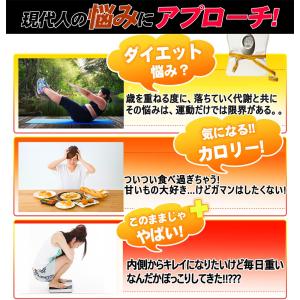 とりあえずコレ!お得3袋 カロリーカット ダイ...の詳細画像4