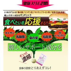 とりあえずコレ!お得3袋 カロリーカット ダイ...の詳細画像5