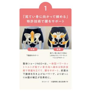 整体ショーツ NEO+【骨盤サポート ショーツ...の詳細画像4