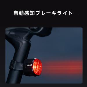 Varia（GARMIN） ガーミン 公式 Varia RCT715 カメラ付き リアビュー