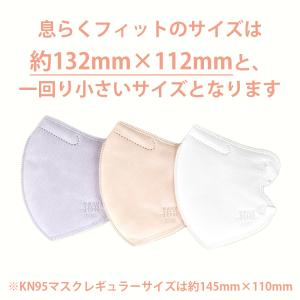 KN95 息らくフィット5層マスク 20枚 箱...の詳細画像4