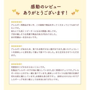 アレルゲンフリーチョコ【◆アレルギー対応 アレ...の詳細画像3