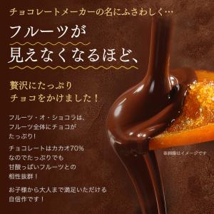 チョコレート【フルーツ・オ・ショコラ オレンジ...の詳細画像1