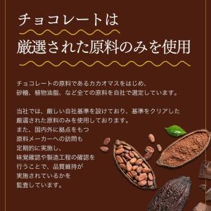 チョコレート【フルーツ・オ・ショコラ オレンジ...の詳細画像5