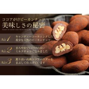 ホワイトデー お返し ココアがけピーカンナッツ...の詳細画像5