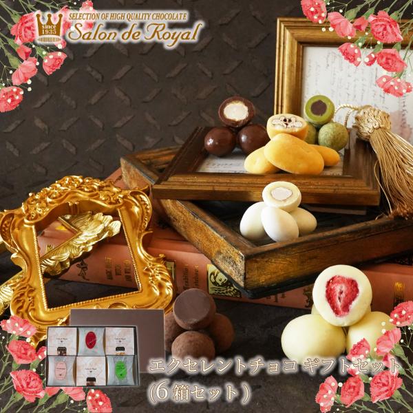 エクセレントチョコ ギフトセット(6箱セット) サロンドロワイヤル チョコレート のし対応 ギフト ...