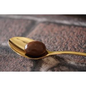 母の日 プチレーズンチョコレート(220g/袋...の詳細画像3